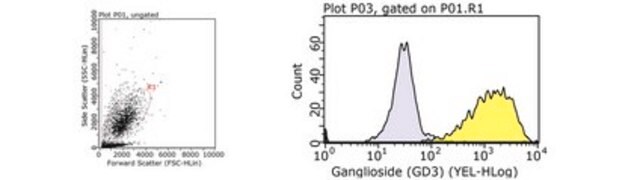 Anti-Diasialoganglioside GD3 Antibody, clone R24 clone R24, from mouse