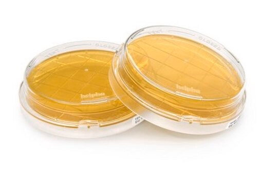 Tryptic Soy Agar - Ready-to-use Contact Plates Neutralizer A, ICR plus with lockable lid, plate diam. 55&#160;mm, sterile; &#947;-irradiated, pkg of 10&#160;plates Triple packed, suitable for surface monitoring