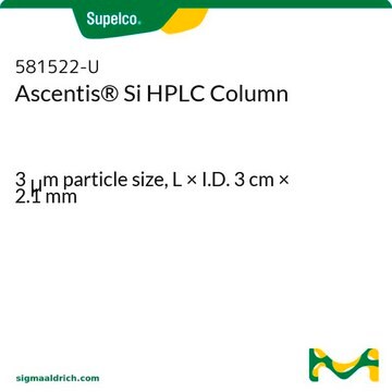 Ascentis&#174; Si HPLC Column 3&#160;&#956;m particle size, L × I.D. 3&#160;cm × 2.1&#160;mm