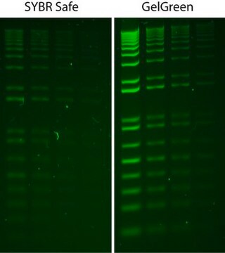 GelGreen&#174; Nucleic Acid Stain 10000X DMSO GelGreen is a fluorescent nucleic acid stain designed to replace the highly toxic ethidium bromide (EtBr) for staining dsDNA, ssDNA or RNA in agarose gels or polyacrylamide gels.