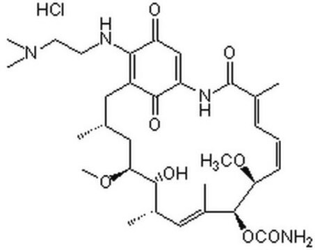 17-DMAG A potent antitumor analog of 17-AAG that binds to the ATPase site of human Hsp90&#945; with high affinity and displays excellent bioavailability and aqueous solubility.