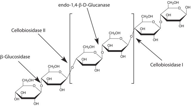 &#946;-Glucosidase from almonds lyophilized powder, 10-50&#160;units/mg solid