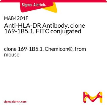 Anti-HLA-DR Antibody, clone 169-1B5.1, FITC conjugated clone 169-1B5.1, Chemicon&#174;, from mouse