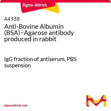 Anti-Bovine Albumin (BSA)&#8722;Agarose antibody produced in rabbit IgG fraction of antiserum, PBS suspension