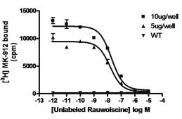 ChemiSCREEN Human &#945;2A Adrenergic Receptor Membrane Preparation Human alpha2A GPCR membrane preparation for Radioligand binding Assays &amp; GTP&#947;S binding.