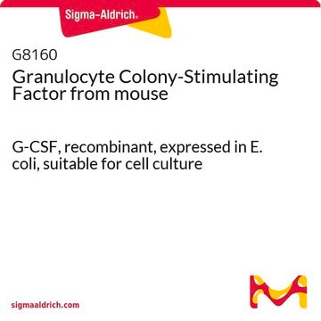 Granulocyte Colony-Stimulating Factor from mouse G-CSF, recombinant, expressed in E. coli, suitable for cell culture