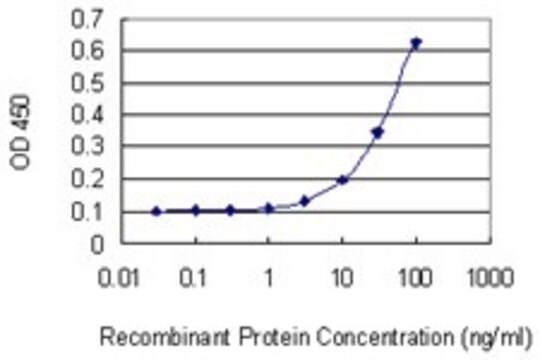 Monoclonal Anti-XRCC3 antibody produced in mouse clone 1H7, purified immunoglobulin, buffered aqueous solution