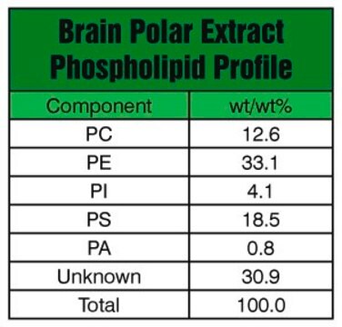 Brain Extract Polar Avanti Research&#8482; - A Croda Brand