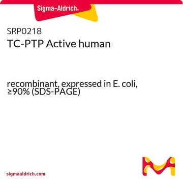 TC-PTP Active human recombinant, expressed in E. coli, &#8805;90% (SDS-PAGE)