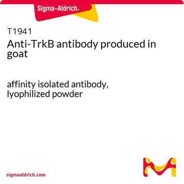 Anti-TrkB antibody produced in goat affinity isolated antibody, lyophilized powder