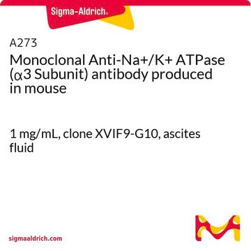 Monoclonal Anti-Na+/K+ ATPase (&#945;3 Subunit) antibody produced in mouse 1&#160;mg/mL, clone XVIF9-G10, ascites fluid