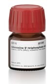 Adenosine 5&#8242;-triphosphate disodium salt hydrate Grade II, &#8805;97% (HPLC), crystalline, from microbial