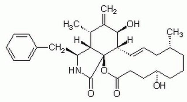 Cytochalasin B, Dihydro- Induces changes in cell morphology and motility with no effect on sugar transport.