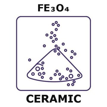 Iron oxide powder, max. particle size 50 micron, weight 100&#160;g, purity 99.9%