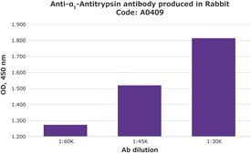 Anti-&#945;1-Antitrypsin antibody produced in rabbit IgG fraction of antiserum