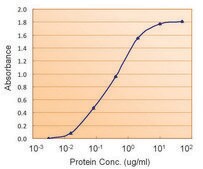 Anti-TTR antibody produced in goat affinity isolated antibody, buffered aqueous solution