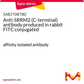 Anti-SRRM2 (C-terminal) antibody produced in rabbit FITC conjugated affinity isolated antibody