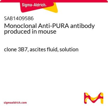Monoclonal Anti-PURA antibody produced in mouse clone 3B7, ascites fluid, solution