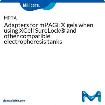 Adapters for mPAGE&#174; gels when using XCell SureLock&#174; and other compatible electrophoresis tanks