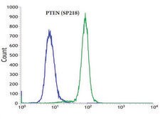 Anti-PTEN antibody, Rabbit monoclonal clone SP218, recombinant, expressed in proprietary host, affinity isolated antibody