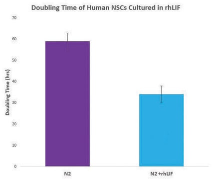 Leukemia Inhibitory Factor human, animal component free recombinant, expressed in rice, 500&#160;&#956;g/mL