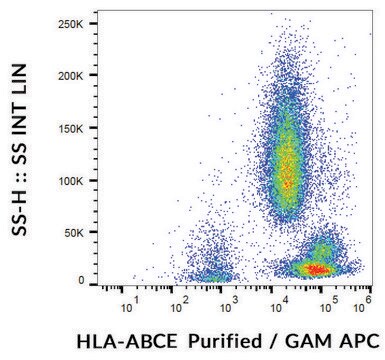 Monoclonal Anti-HLAABCE antibody produced in mouse clone TP25.99SF