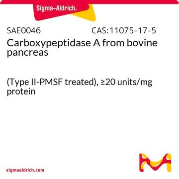 Carboxypeptidase&#160;A from bovine pancreas (Type II-PMSF treated), &#8805;20&#160;units/mg protein