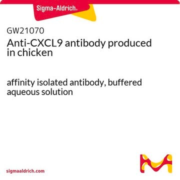 Anti-CXCL9 antibody produced in chicken affinity isolated antibody, buffered aqueous solution