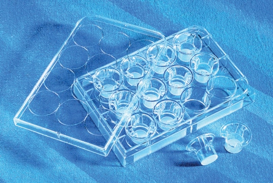 Corning&#174; Transwell&#174; polycarbonate membrane cell culture inserts 24 mm Transwell with 8.0 &#956;m pore polycarbonate membrane insert, TC-treated, w/lid, sterile, 24/cs