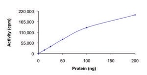 CDK2/CyclinA1, active, GST tagged human PRECISIO&#174; Kinase, recombinant, expressed in baculovirus infected Sf9 cells, &#8805;70% (SDS-PAGE), buffered aqueous glycerol solution