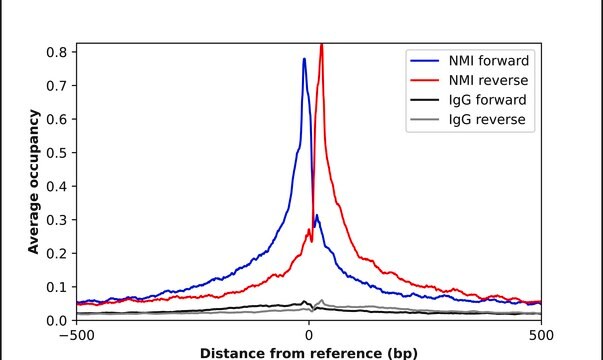 Anti-NMI antibody produced in rabbit Prestige Antibodies&#174; Powered by Atlas Antibodies, affinity isolated antibody, buffered aqueous glycerol solution