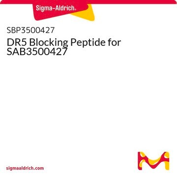 DR5 Blocking Peptide for SAB3500427