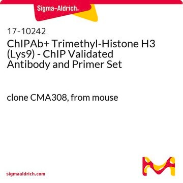 ChIPAb+ Trimethyl-Histone H3 (Lys9) - ChIP Validated Antibody and Primer Set clone CMA308, from mouse