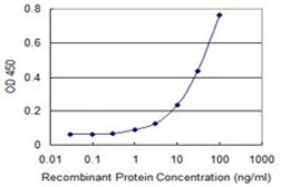 Monoclonal Anti-CCNA1 antibody produced in mouse clone 4A11-5B5, purified immunoglobulin, buffered aqueous solution