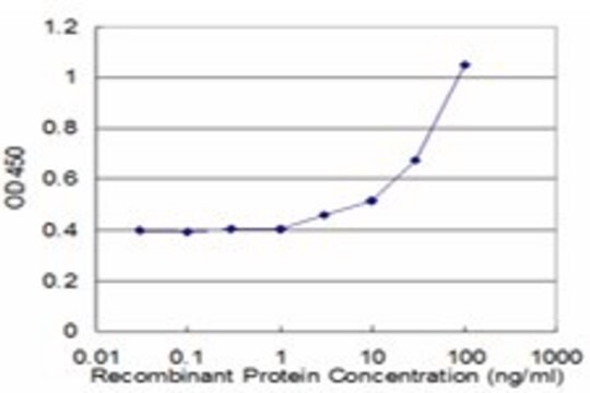 Monoclonal Anti-FAH, (N-terminal) antibody produced in mouse clone 3G2, purified immunoglobulin, buffered aqueous solution