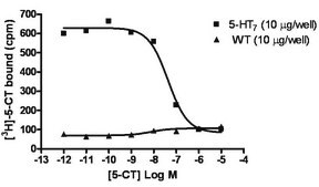 ChemiSCREEN Membrane Preparation Recombinant Human 5-HT&#8327; Serotonin Receptor Human 5-HT7 GPCR membrane preparation for Radioligand binding Assays &amp; GTP&#947;S binding.