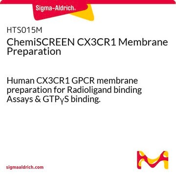 ChemiSCREEN CX3CR1 Membrane Preparation Human CX3CR1 GPCR membrane preparation for Radioligand binding Assays &amp; GTP&#947;S binding.