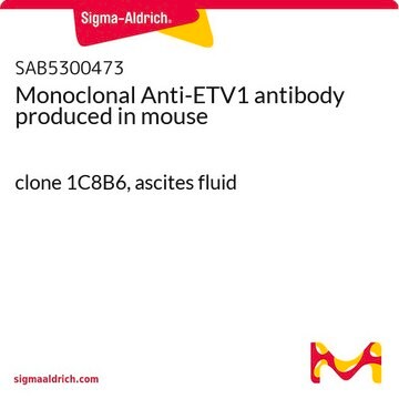 Monoclonal Anti-ETV1 antibody produced in mouse clone 1C8B6, ascites fluid