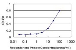 Monoclonal Anti-TIMP1 antibody produced in mouse clone 4D12, purified immunoglobulin, buffered aqueous solution