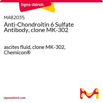 Anti-Chondroitin 6 Sulfate Antibody, clone MK-302 ascites fluid, clone MK-302, Chemicon&#174;