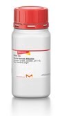 Bovine Serum Albumin standard grade, heat shock fraction, protease free, IgG free, low endotoxin, Ph 7.0, &#8805;98%