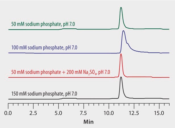 Mobile Phase Optimization in the Analysis of Lysozyme on Zenix® SEC-300 application for HPLC