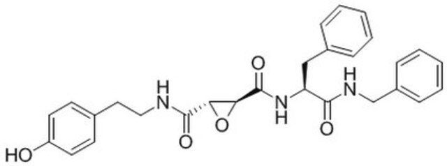 Cathepsin L Inhibitor, CAA0225