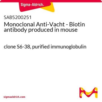 Monoclonal Anti-Vacht - Biotin antibody produced in mouse clone S6-38, purified immunoglobulin