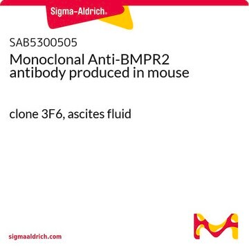 Monoclonal Anti-BMPR2 antibody produced in mouse clone 3F6, ascites fluid