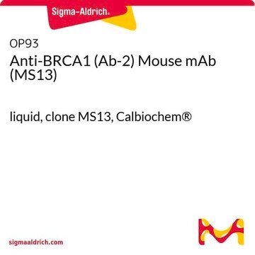 Anti-BRCA1 (Ab-2) Mouse mAb (MS13) liquid, clone MS13, Calbiochem&#174;