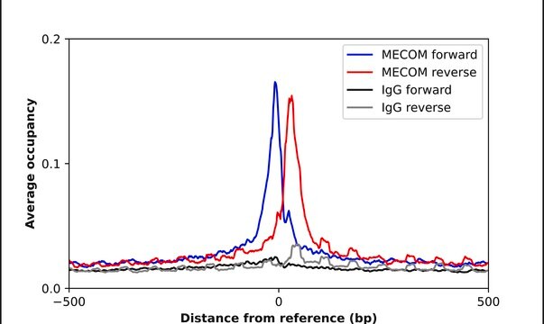Anti-MECOM antibody produced in rabbit Prestige Antibodies&#174; Powered by Atlas Antibodies, affinity isolated antibody, buffered aqueous glycerol solution