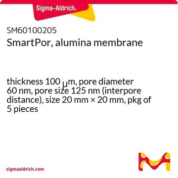 SmartPor, alumina membrane thickness 100&#160;&#956;m, pore diameter 60&#160;nm, pore size 125&#160;nm (interpore distance), size 20&#160;mm × 20&#160;mm, pkg of 5&#160;pieces