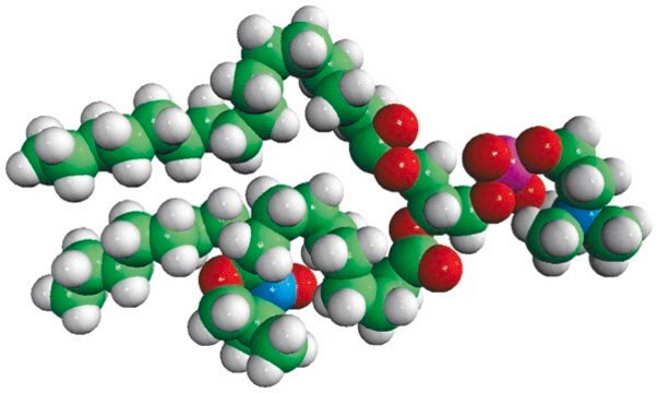 16:0-10 Doxyl PC Avanti Research&#8482; - A Croda Brand 810603P, powder