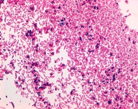 Safranine O (C.I. 50240) for microscopy Certistain&#174;